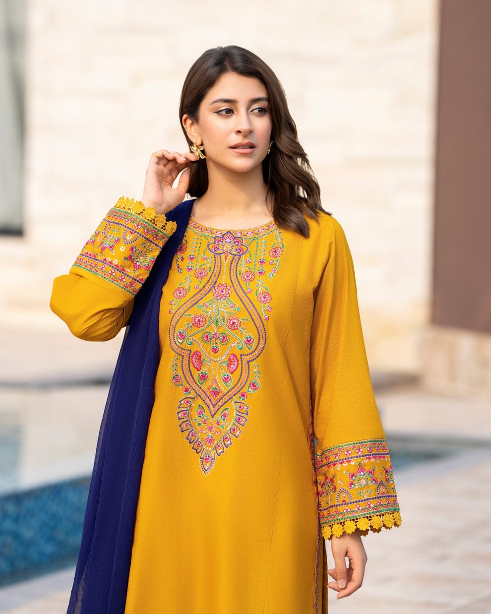 Rangreeza embroidery 3pc