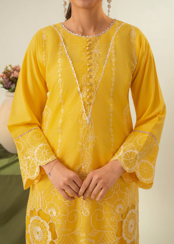 Soraya embroidery 3pc